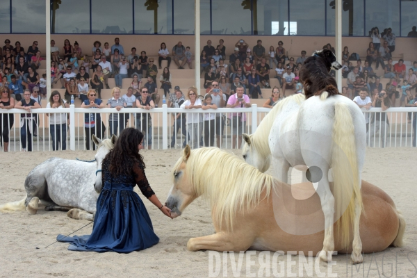 Salon du  Cheval Roi  à Grenade Animations, ambiances du salon dédié aux chevaux, aux anes