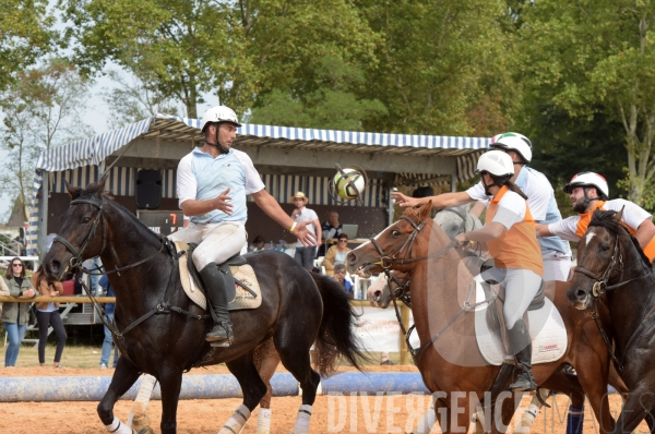 Salon du  Cheval Roi  à Grenade Animations, ambiances du salon dédié aux chevaux, aux anes