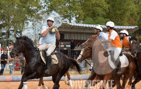 Salon du  Cheval Roi  à Grenade Animations, ambiances du salon dédié aux chevaux, aux anes