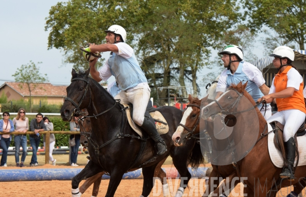 Salon du  Cheval Roi  à Grenade Animations, ambiances du salon dédié aux chevaux, aux anes