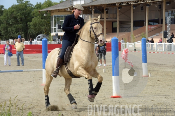 Salon du  Cheval Roi  à Grenade Animations, ambiances du salon dédié aux chevaux, aux anes