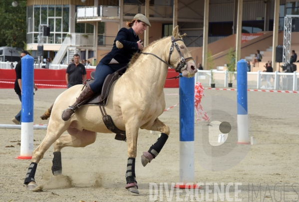 Salon du  Cheval Roi  à Grenade Animations, ambiances du salon dédié aux chevaux, aux anes