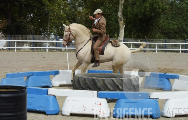 Salon du  Cheval Roi  à Grenade Animations, ambiances du salon dédié aux chevaux, aux anes