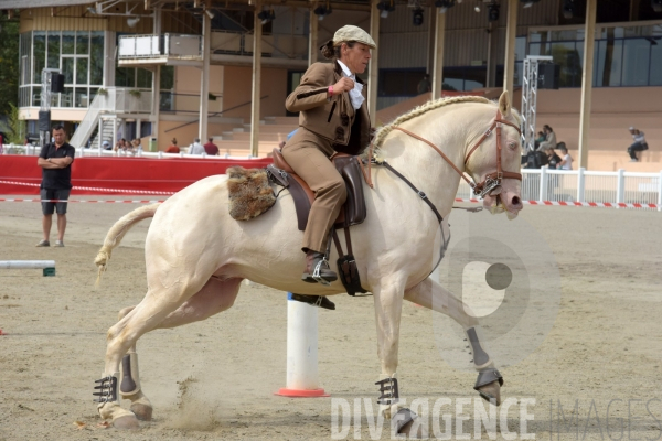 Salon du #Cheval Roi à #Grenade #Toulouse