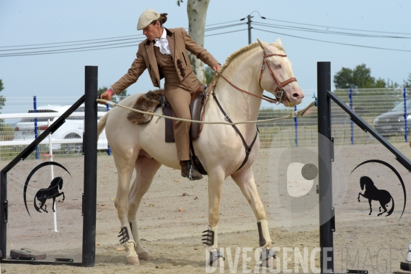 Salon du  Cheval Roi  à Grenade Animations, ambiances du salon dédié aux chevaux, aux anes