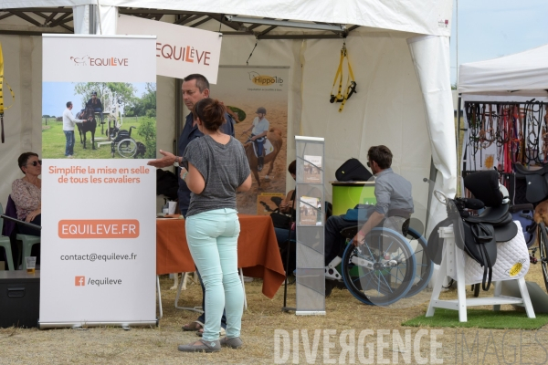 Salon du  Cheval Roi  à Grenade Animations, ambiances du salon dédié aux chevaux, aux anes