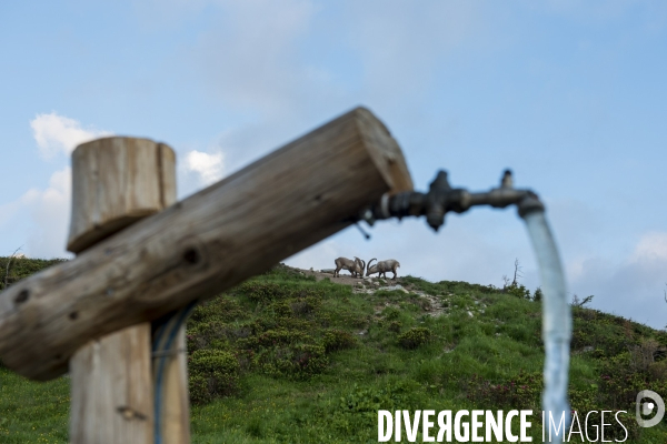Gardienne de refuge : une vie haut perchée