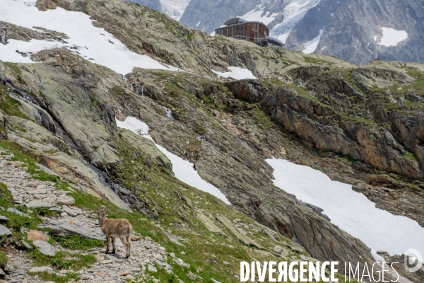 Gardienne de refuge : une vie haut perchée