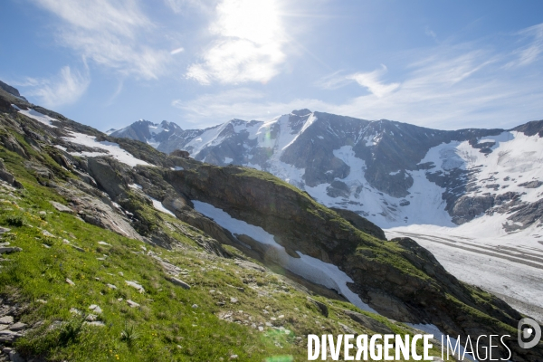 Gardienne de refuge : une vie haut perchée
