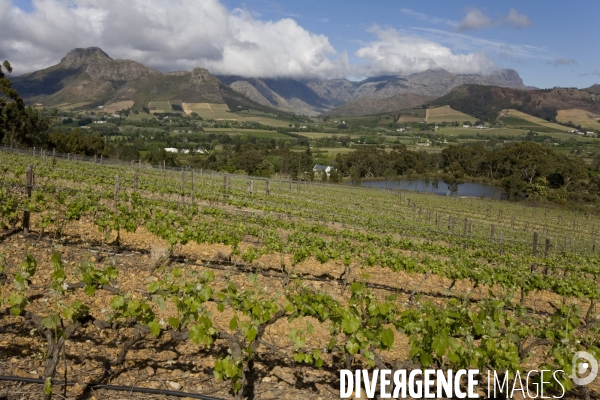 Le cap/afrique du sud