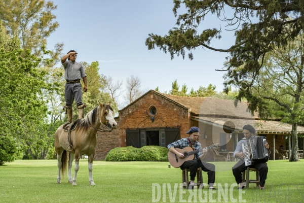 L homme qui murmurait à l oreille des chevaux