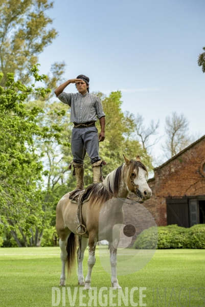 L homme qui murmurait à l oreille des chevaux