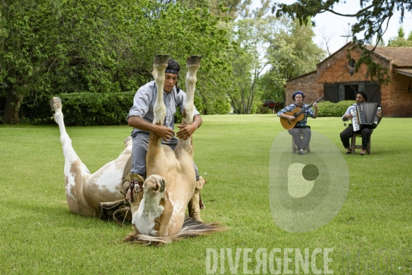 L homme qui murmurait à l oreille des chevaux