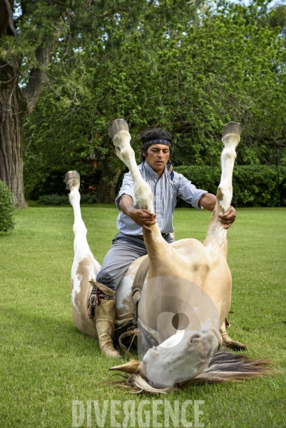 L homme qui murmurait à l oreille des chevaux