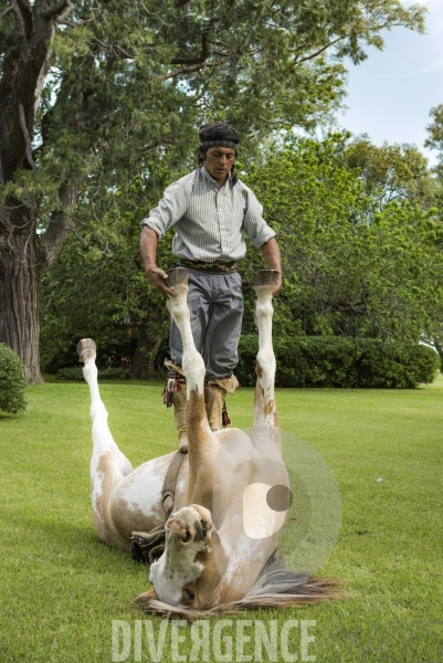 L homme qui murmurait à l oreille des chevaux