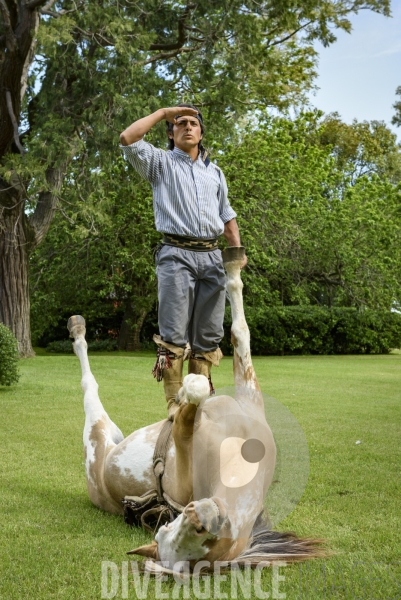 L homme qui murmurait à l oreille des chevaux