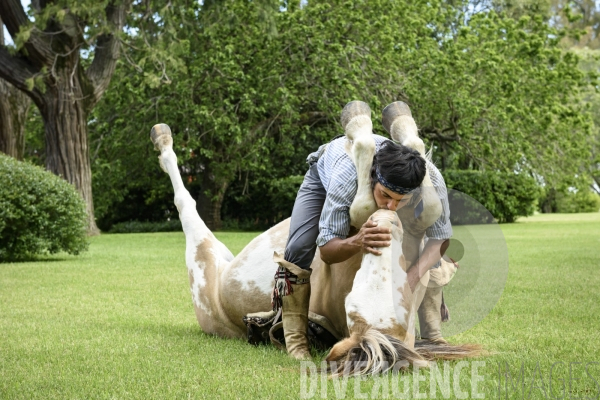 L homme qui murmurait à l oreille des chevaux