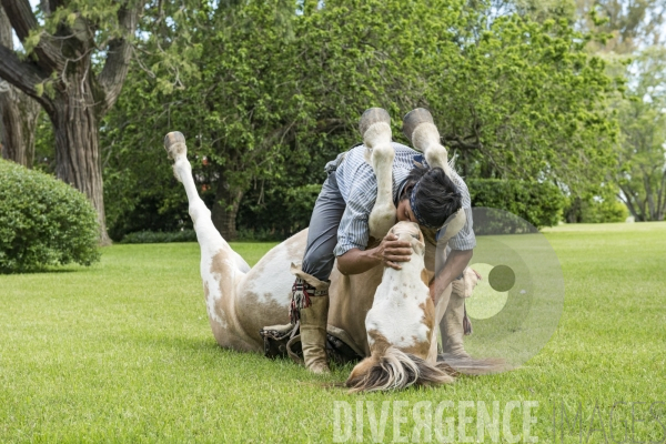 L homme qui murmurait à l oreille des chevaux