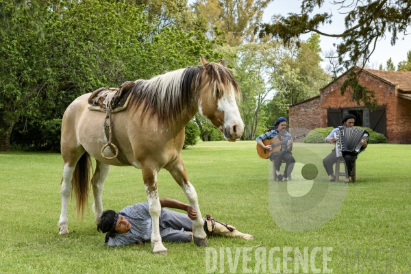 L homme qui murmurait à l oreille des chevaux