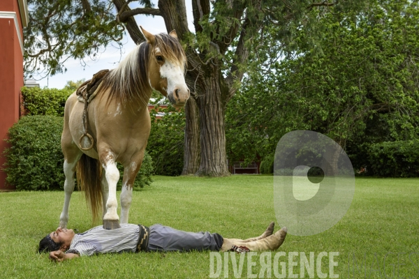 L homme qui murmurait à l oreille des chevaux