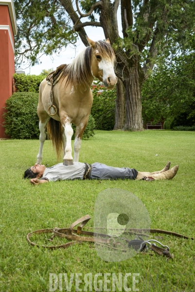 L homme qui murmurait à l oreille des chevaux