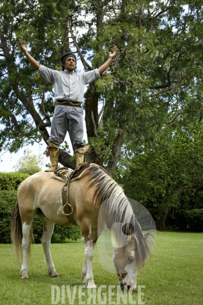 L homme qui murmurait à l oreille des chevaux