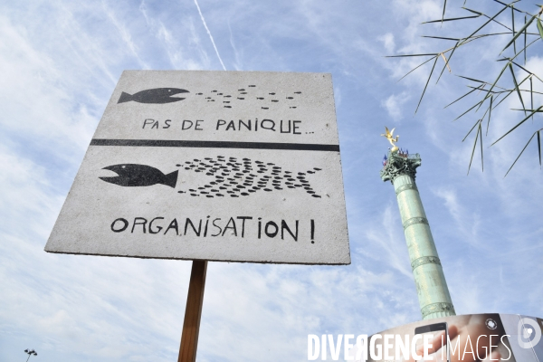 Manifestation contre la réforme du Code du travail à Paris.