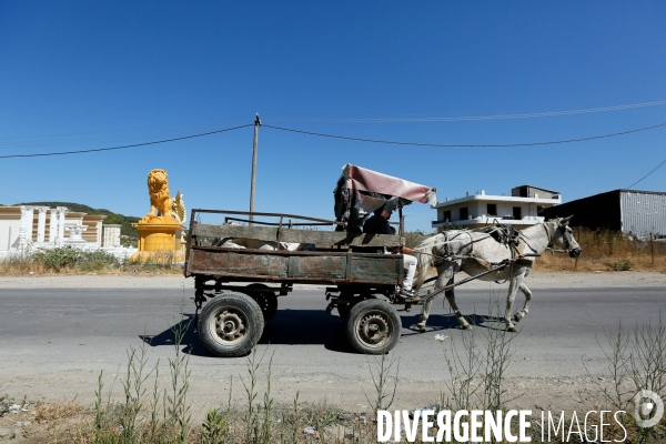 Sur la route de Durres ( Albanie )