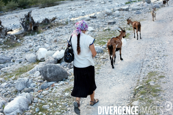 Shkurta éleveuse de chèvre dans les montagnes albanaises