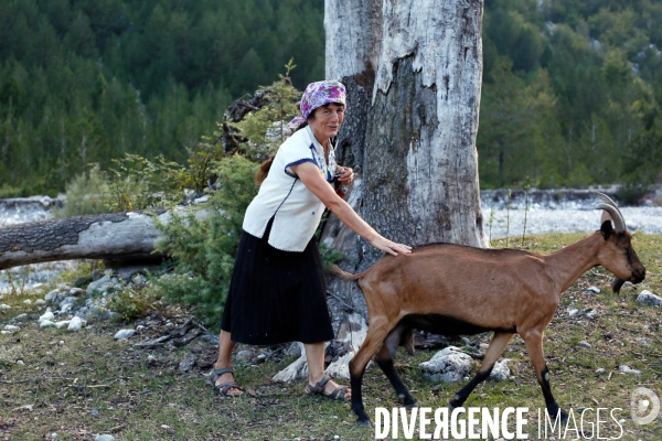 Shkurta éleveuse de chèvre dans les montagnes albanaises