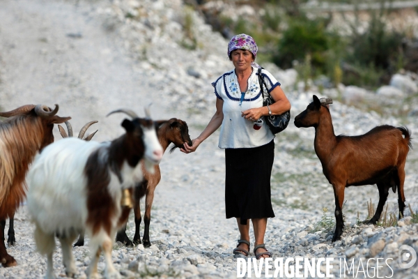 Shkurta éleveuse de chèvre dans les montagnes albanaises