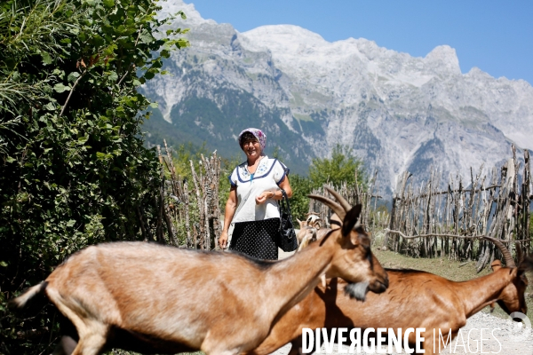 Shkurta éleveuse de chèvre dans les montagnes albanaises