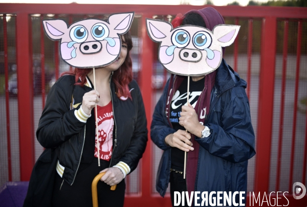 Nuit Debout devant l abattoir Guy Harang à Houdan. No slaughterhouses.