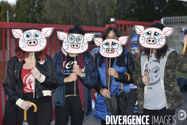Nuit Debout devant l abattoir Guy Harang à Houdan. No slaughterhouses.