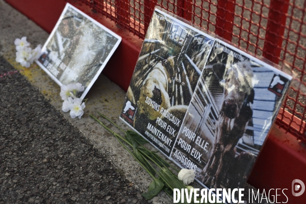 Nuit Debout devant l abattoir Guy Harang à Houdan. No slaughterhouses.