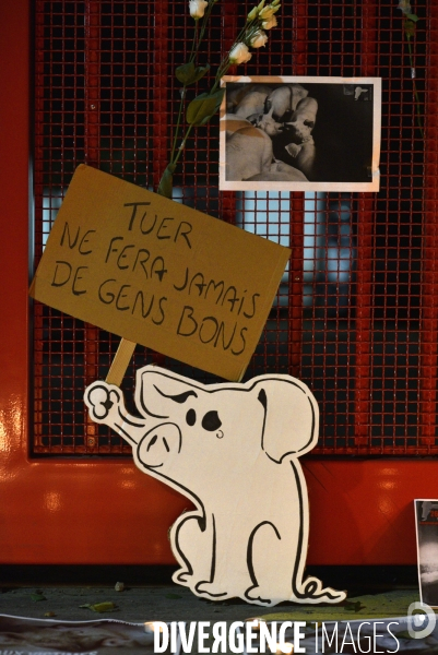 Nuit Debout devant l abattoir Guy Harang à Houdan. No slaughterhouses.