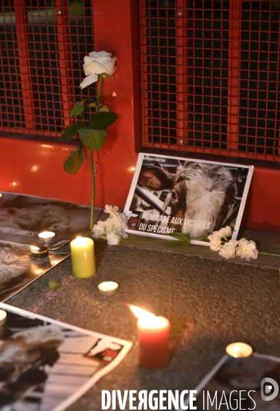 Nuit Debout devant l abattoir Guy Harang à Houdan. No slaughterhouses.