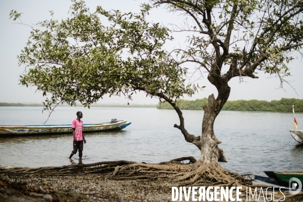 Aire Marine Protégée de Bamboung