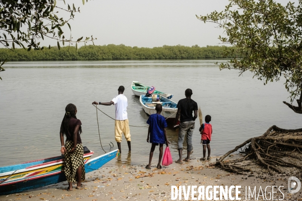 Aire Marine Protégée de Bamboung