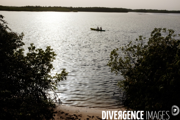 Aire Marine Protégée de Bamboung