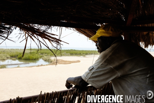 Aire Marine Protégée de Bamboung