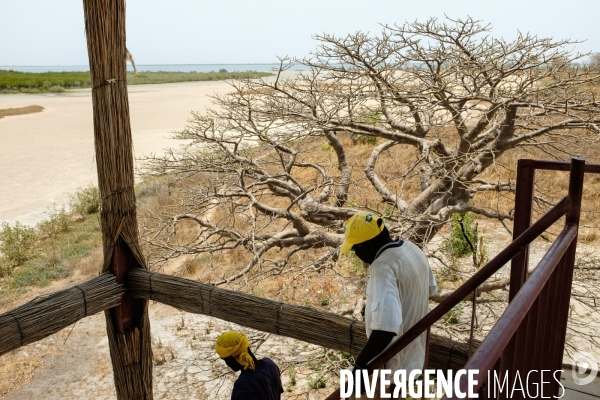 Aire Marine Protégée de Bamboung