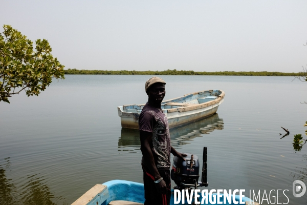 Aire Marine Protégée de Bamboung