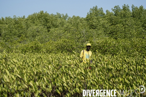 Aire Marine Protégée de Bamboung