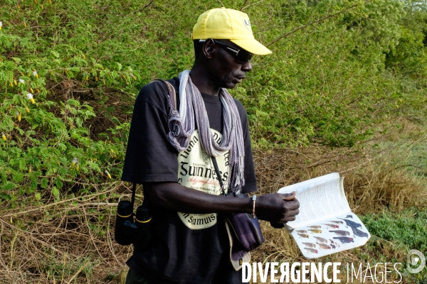 Aire Marine Protégée de Bamboung