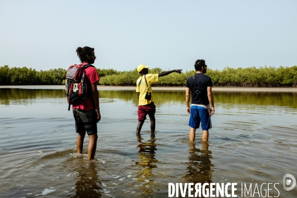 Aire Marine Protégée de Bamboung