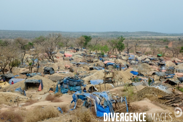 Orpaillage clandestin, Sénégal