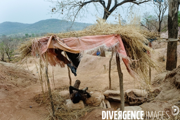 Orpaillage clandestin, Sénégal