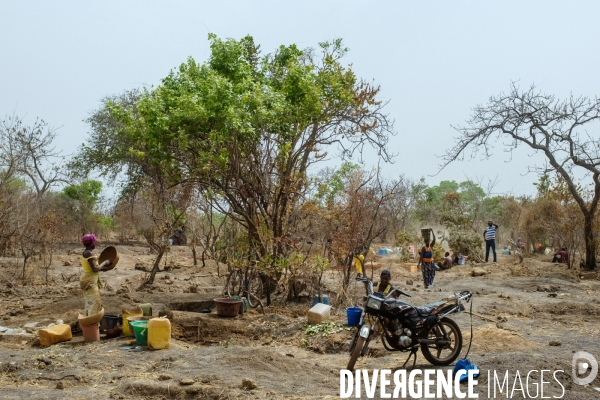 Orpaillage clandestin, Sénégal