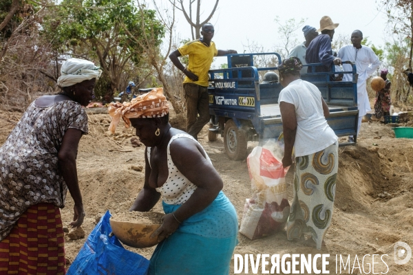 Orpaillage clandestin, Sénégal